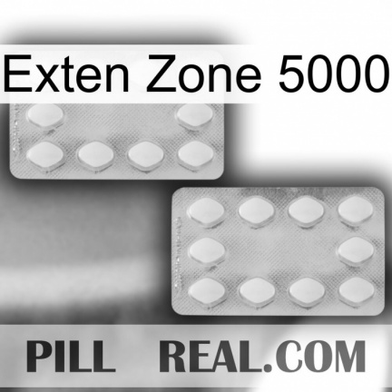 Exten Zone 5000 17